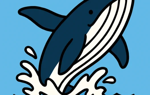 Whale category image