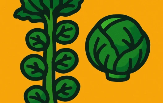 Brussels Sprout category image
