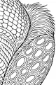 Scales, Fur, and Wiggly Alien Spots
