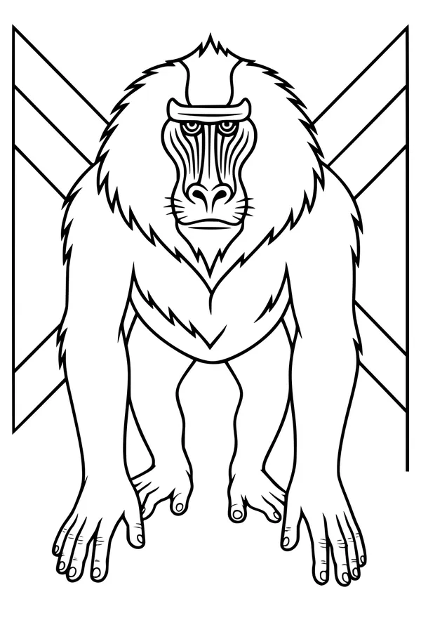 Baboon With Stripes on His Cheeks