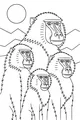 Baboon Family Under the Morning Sun