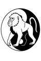 Baboon in the Magic Circle
