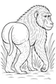Baboon on the Grassy Trail