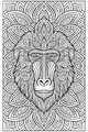 The Baboon King’s Swirly Mane
