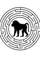 Baboon in the Secret Circle Maze