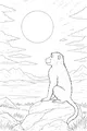 Baboon Watches the Big Bright Sun