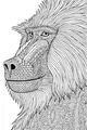 Grand Baboon With Swirly Patterns