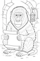 Sir Baboon and the Secret Scroll