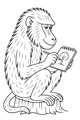 Baboon Draws a Forest Friend