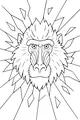 King Baboon with Sparkle Burst Mane