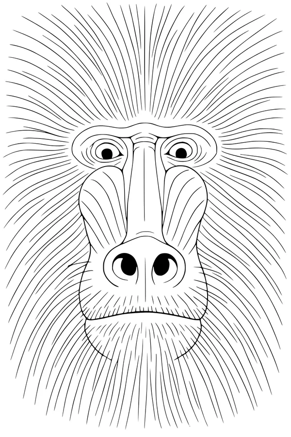 Big Baboon Face with Whooshy Whiskers