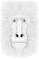 Big Baboon Face with Whooshy Whiskers