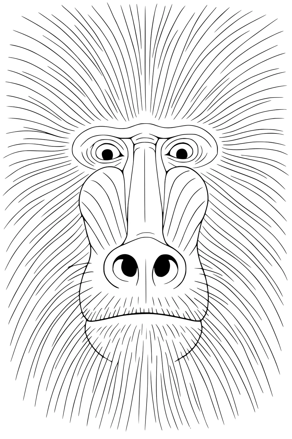 Line drawing of a baboon’s face with wispy, radiating hair and rounded cheeks filling the page.