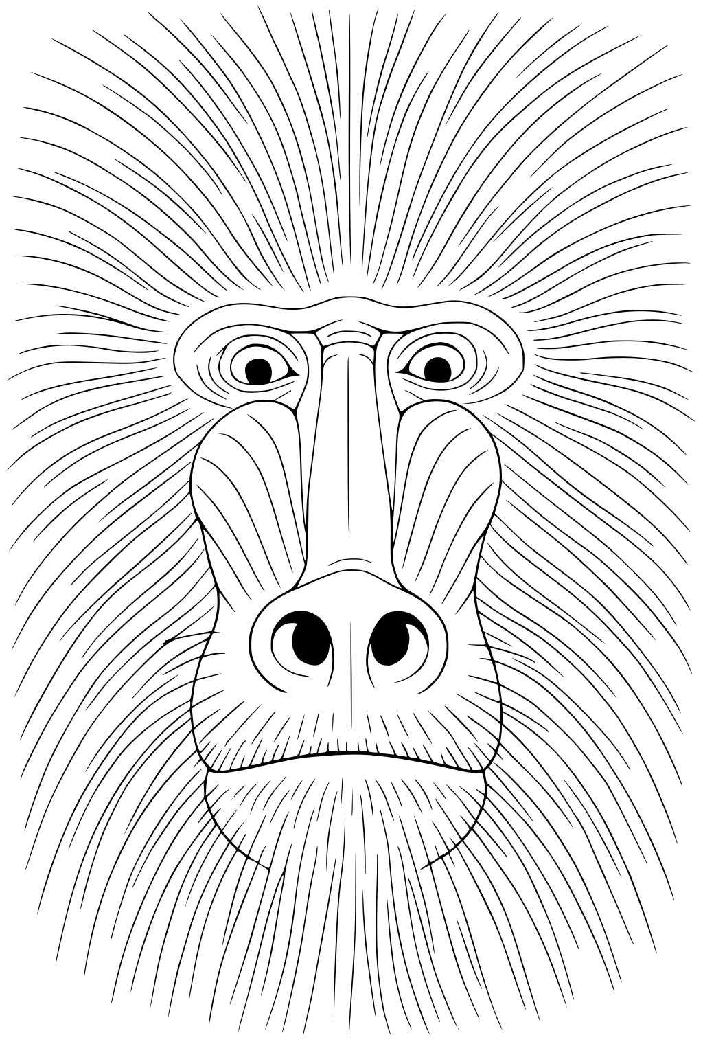 Line drawing of a baboon’s face with wispy, radiating hair and rounded cheeks filling the page.