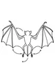 Bat Wings in Flight Guide