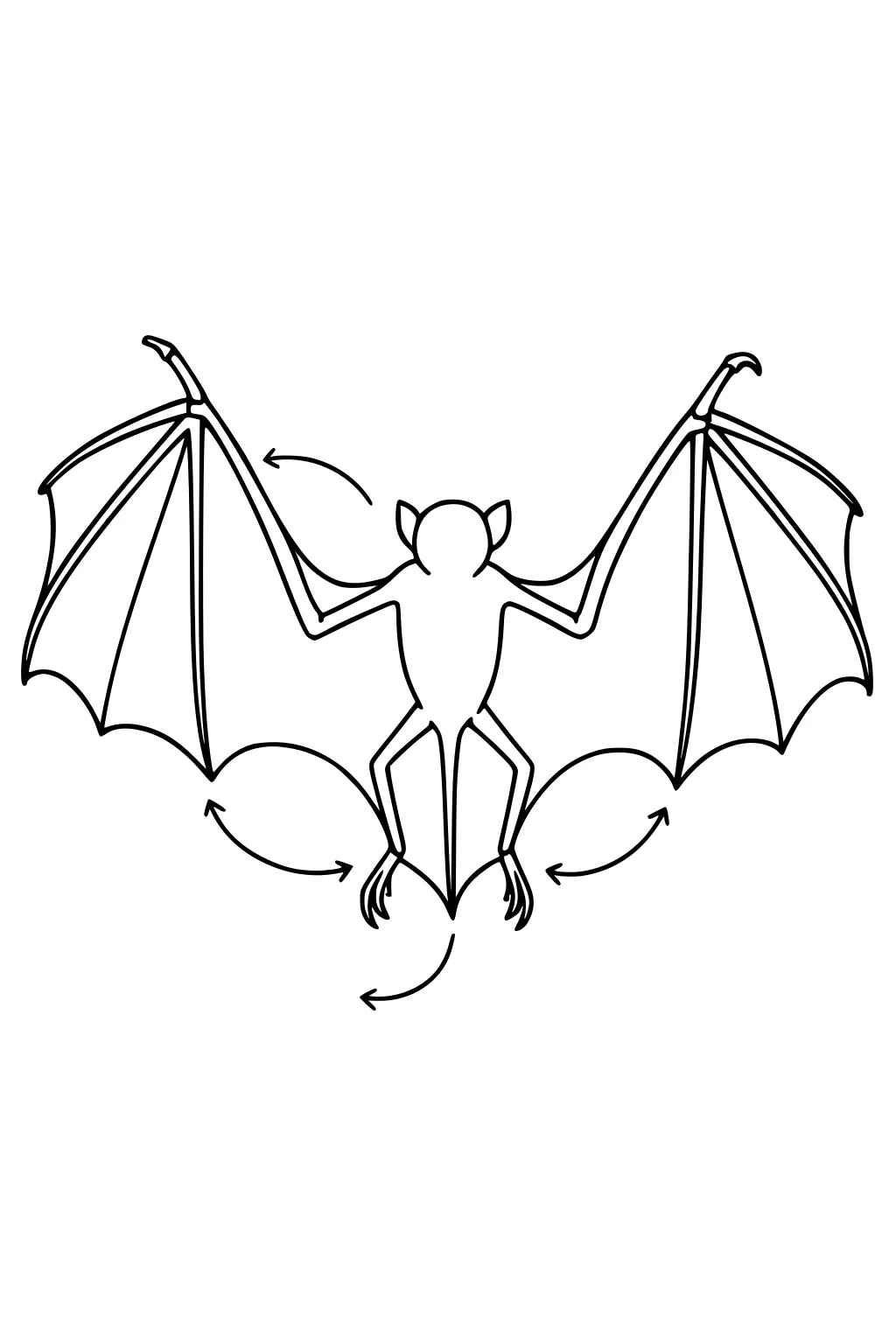 Outline of a bat with wings spread and arrows showing direction of flying motion lines.