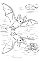 Bat Brothers Glide by the Lily Pond