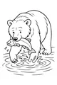 Bear Splash With Fresh Fish Surprise