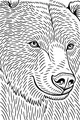 Big Brown Bear with Friendly Eyes
