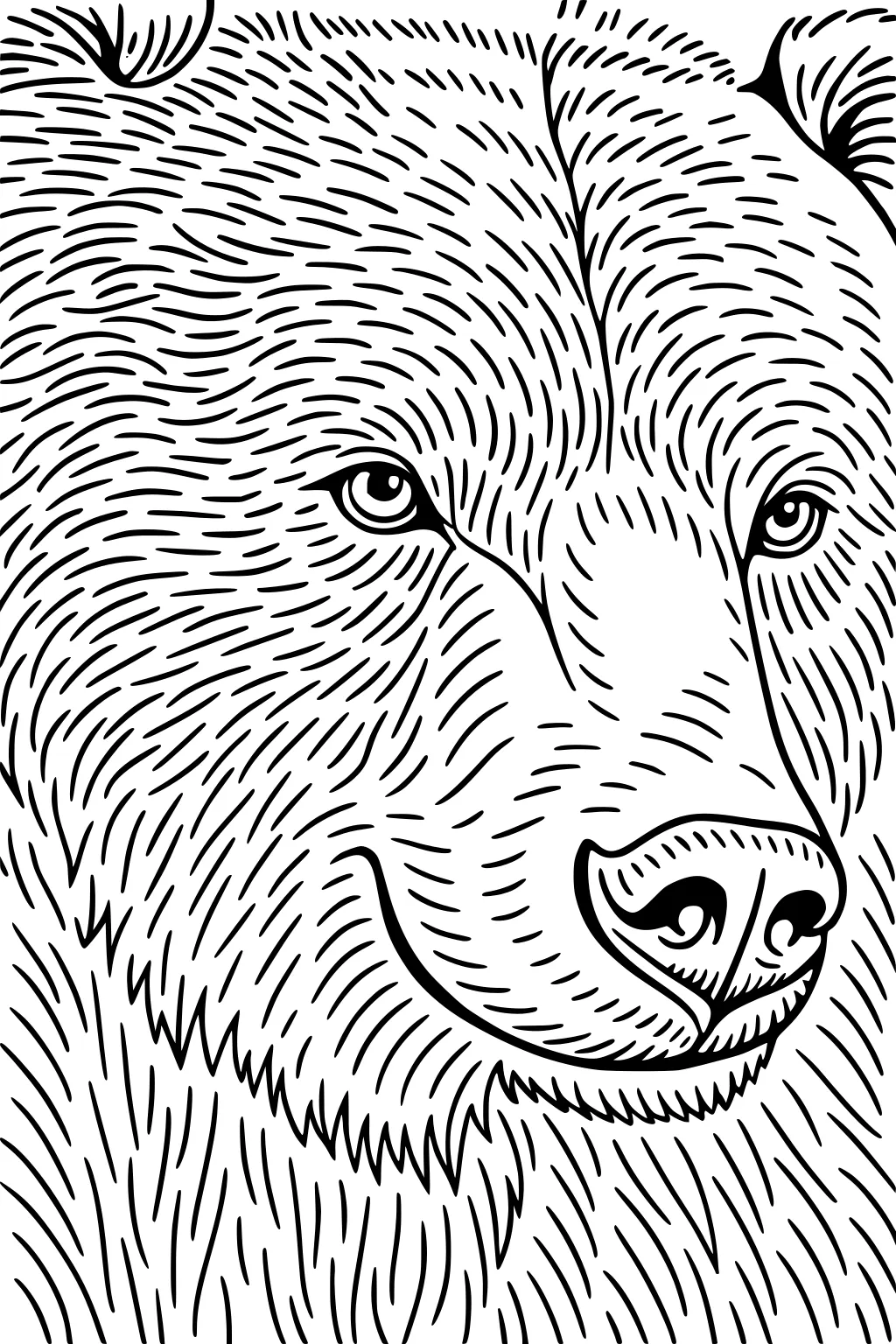 Bear's face close-up with round ears and textured fur made of curved lines, looking forward, nose and eyes detailed.