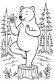 Bear Balances and Birds Sing