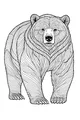Bruno the Big Forest Bear