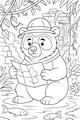 Benny Bear’s Jungle Map Surprise