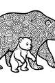 Big Bear, Little Explorer