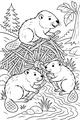 Busy Beavers Build a Stick House