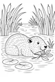 Beaver Snack Time in the Lily Pond