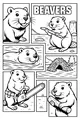Busy Beavers at Work and Play