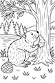 Busy Beaver at the Riverbank