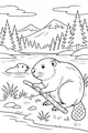 Busy Beavers by the Mountain Pond