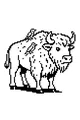 Buffalo and Feathered Friends on the Prairie