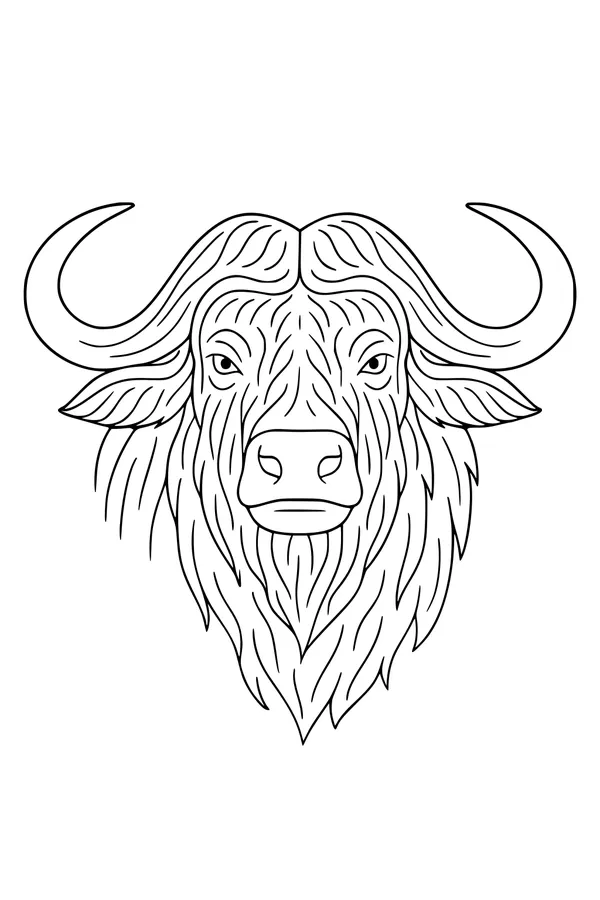Buffalo With Big Curly Horns