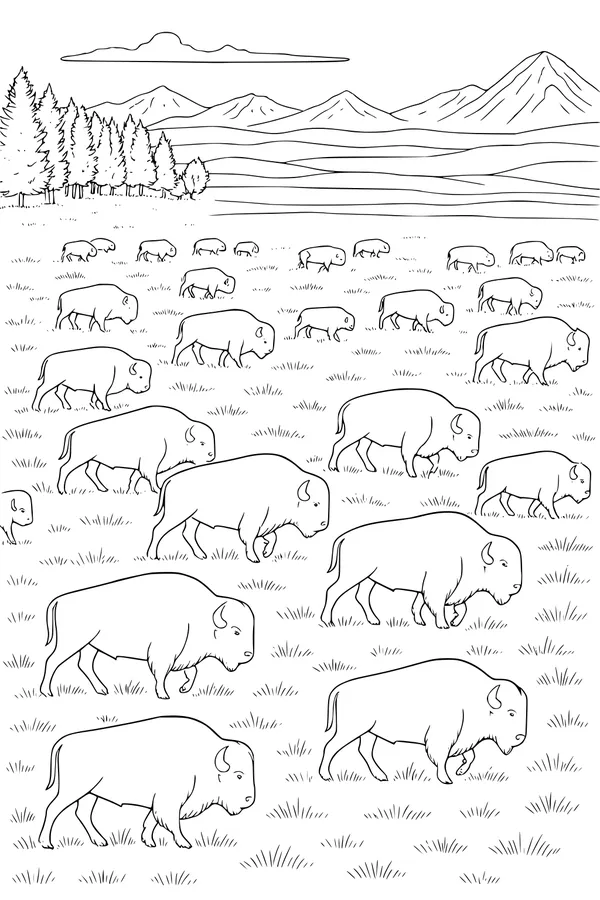 Buffalo Herd on the Grassy Plains