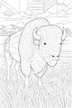 Mighty Buffalo in the Tall Prairie Grass