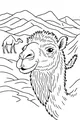 Curious Camel in the Sunny Hills