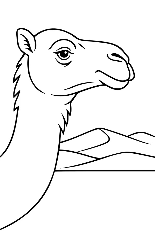 Desert Daydreams with a Wise Camel