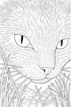 Whiskers in the Tall Grass