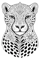The Cheetah With Swirly Spots and Blossoms