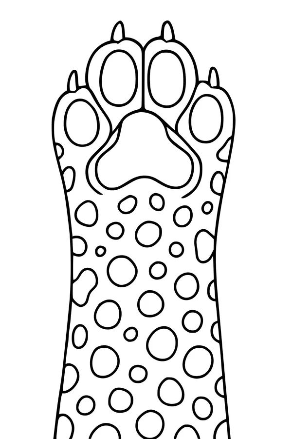 Sunny Safari Cheetah Paw High Five