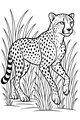 Speedy Cheetah Among the Tall Grass