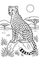Spotted Cheetah On Savannah Watch
