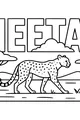 Cheetah’s Stroll Under African Trees