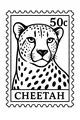 Cheetah Mail Arrives Fast