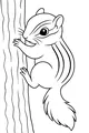 Bright-Eyed Chipmunk Climbs the Tall Tree