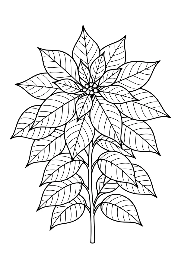 Holiday Poinsettia Leafy Star