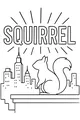 Squirrel’s Secret Rooftop View
