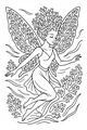 Drift of the Coral-Wing Fairy